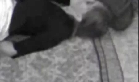 نوجوان ریزه اندام پس از فیلم سکسئ خارجی ورزش کردن بیدمشک داد